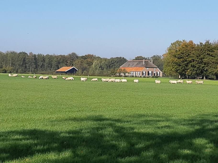 B&B Joostink in Vorden Exterior foto